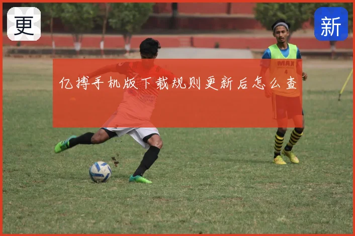亿搏手机版下载规则更新后怎么查